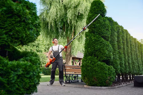 Landscaping professional trimming a large residential hedge